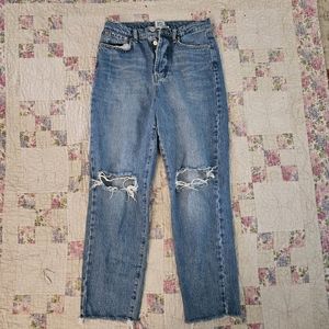 BDG Urban Outfitters distressed slim straight jeans size 27 button fly